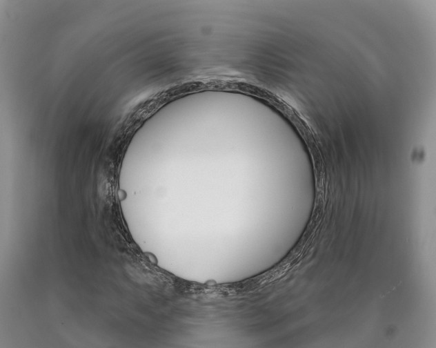X0000090871063200707270950