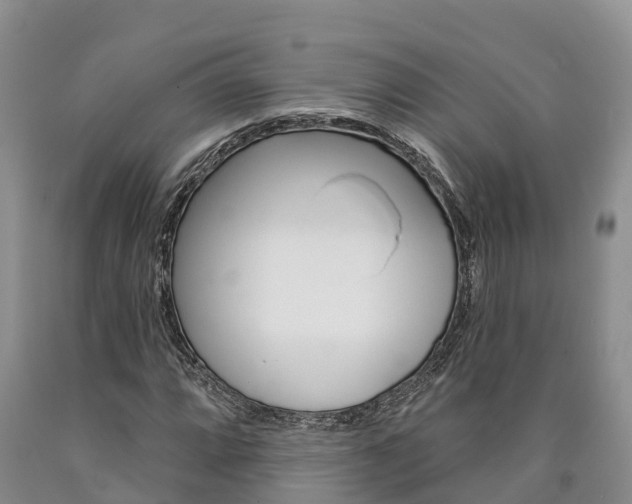 X0000090871064200707270950