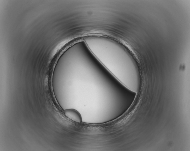 X0000090871066200707270950