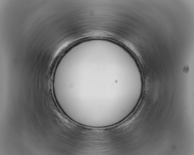 X0000090871067200707270950