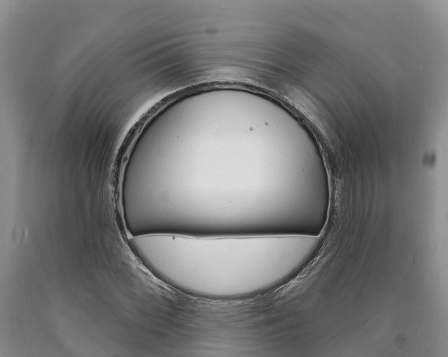 X0000090871068200707270950