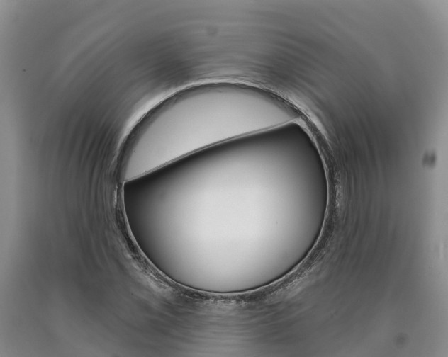 X0000090871069200707270950