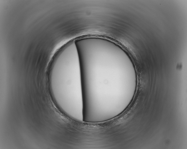 X0000090871070200707270950