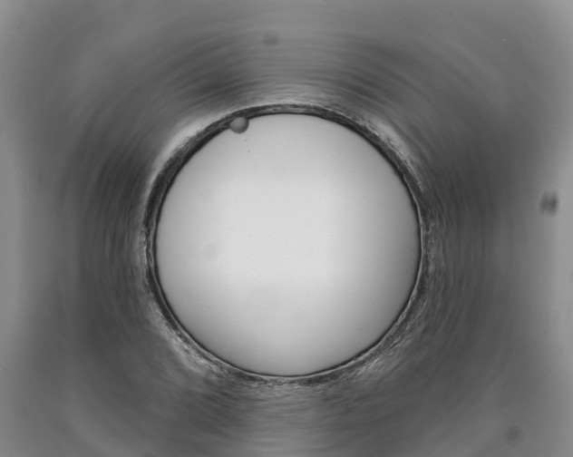 X0000090871072200707270950