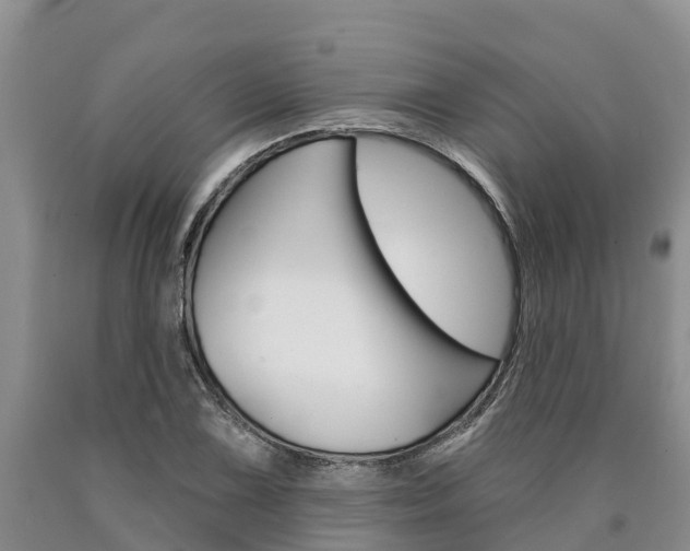 X0000090871075200707270950