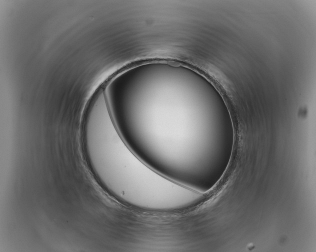 X0000090871077200707270950