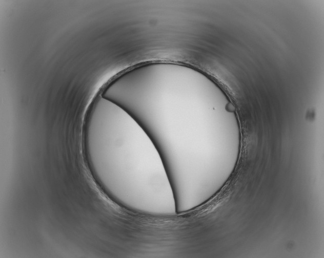 X0000090871079200707270950