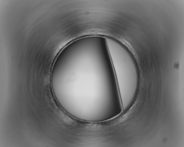 X0000090871081200707270950