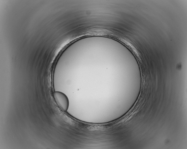 X0000090871083200707270950