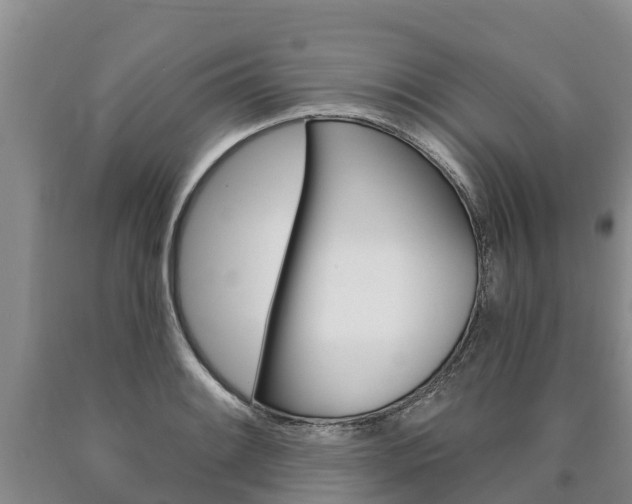 X0000090871084200707270950