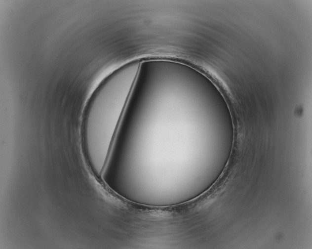 X0000090871085200707270950