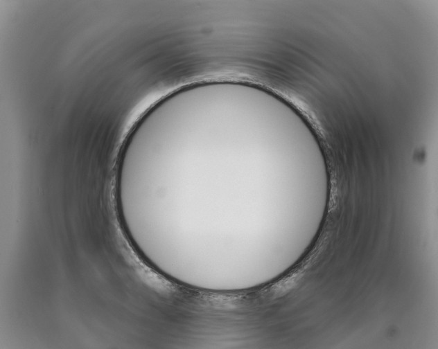 X0000090871086200707270950