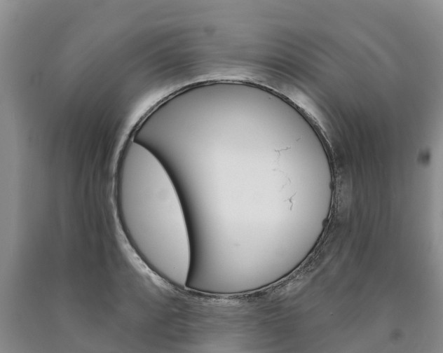 X0000090871088200707270950