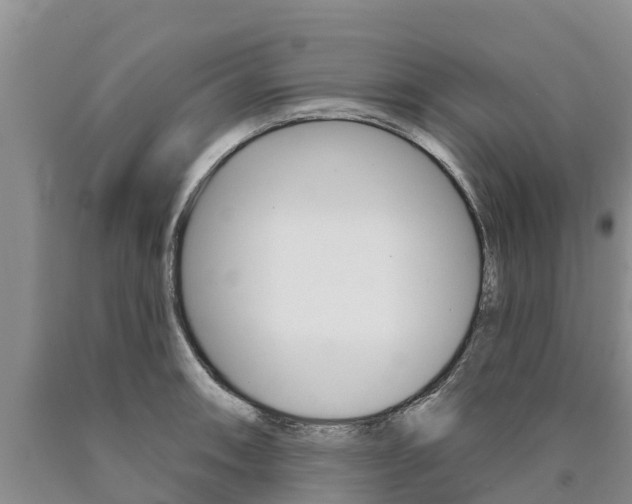 X0000090871090200707270950