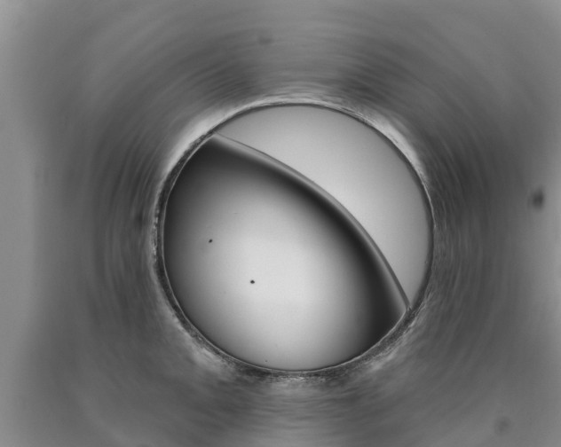 X0000090871093200707270950