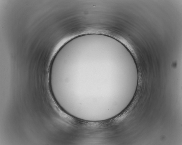 X0000090871094200707270950