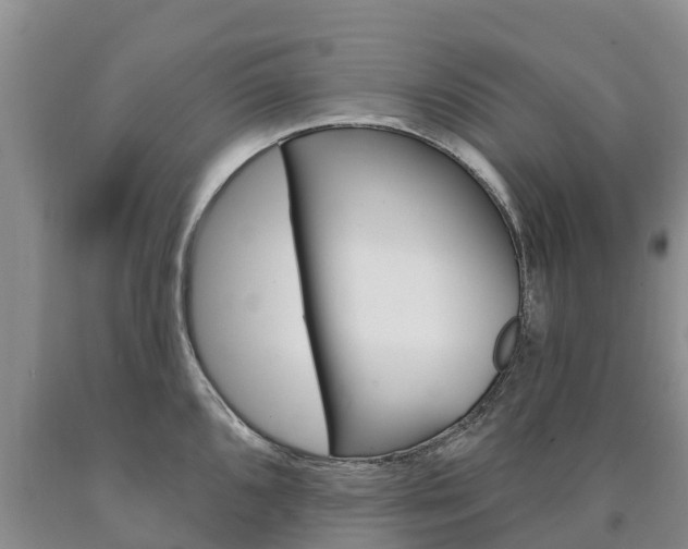 X0000090871096200707270950