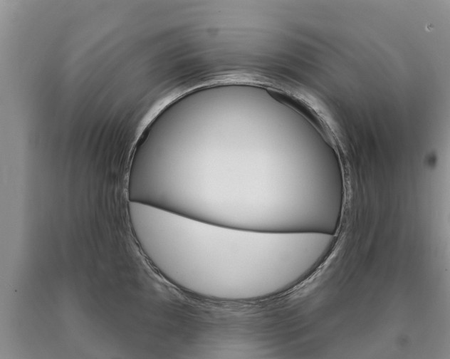 X0000090871097200707270950