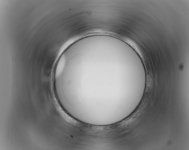 X0000090871098200707270950