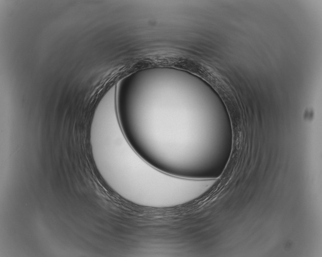 X0000090871108200707270949