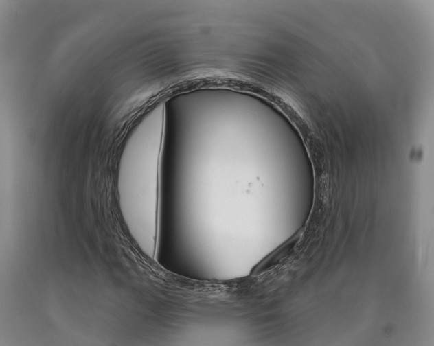X0000090871111200707270949