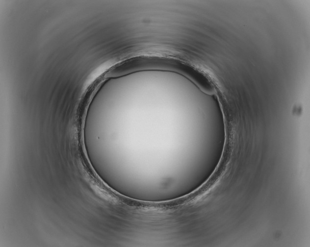 X0000090871114200707270949
