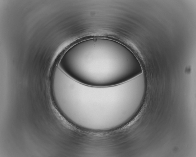 X0000090871122200707270949