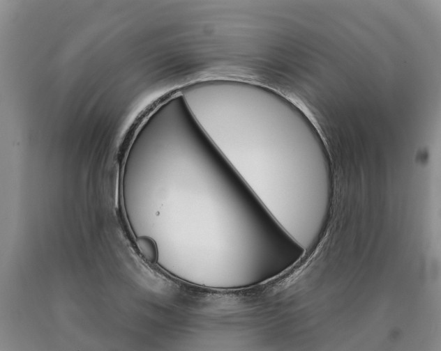 X0000090871123200707270949