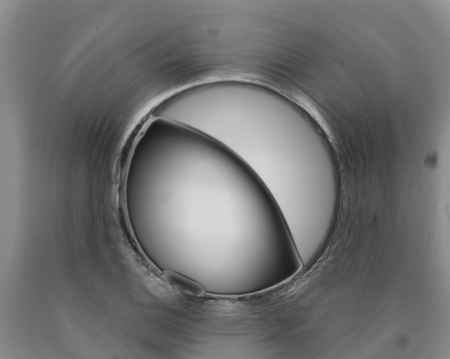 X0000090871124200707270949