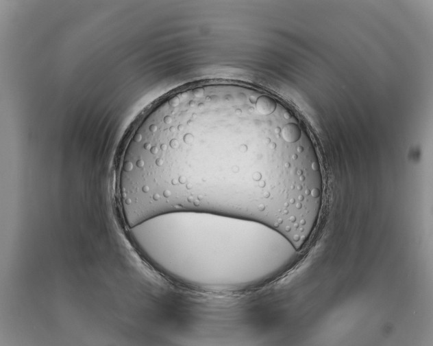 X0000090871125200707270949