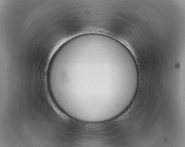 X0000090871128200707270949