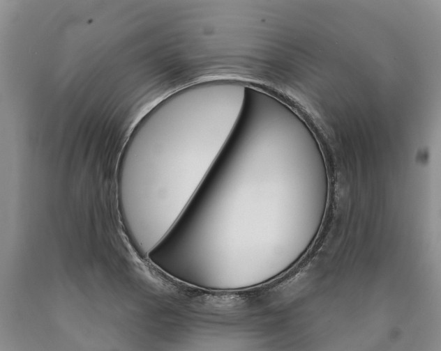 X0000090871129200707270949