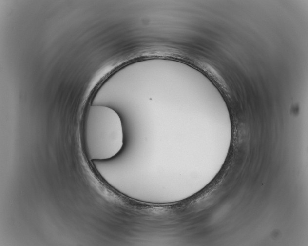 X0000090871130200707270949