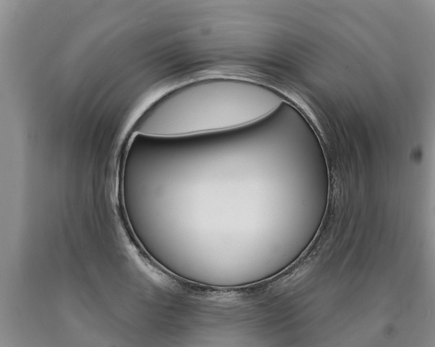 X0000090871131200707270949