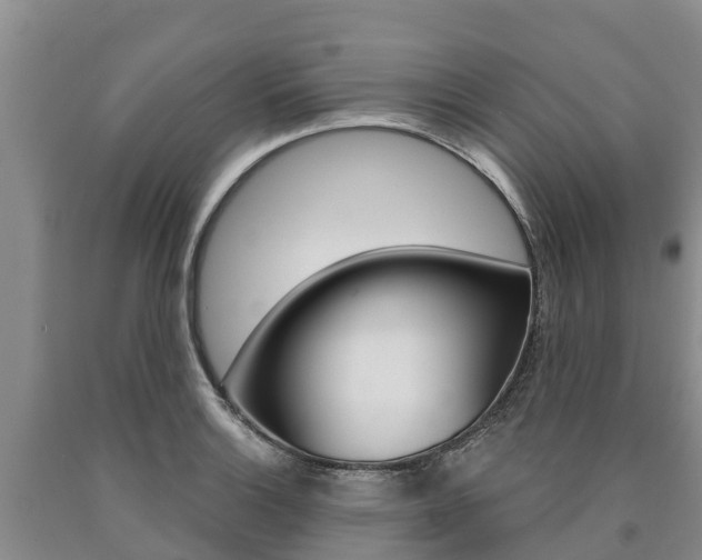 X0000090871132200707270949