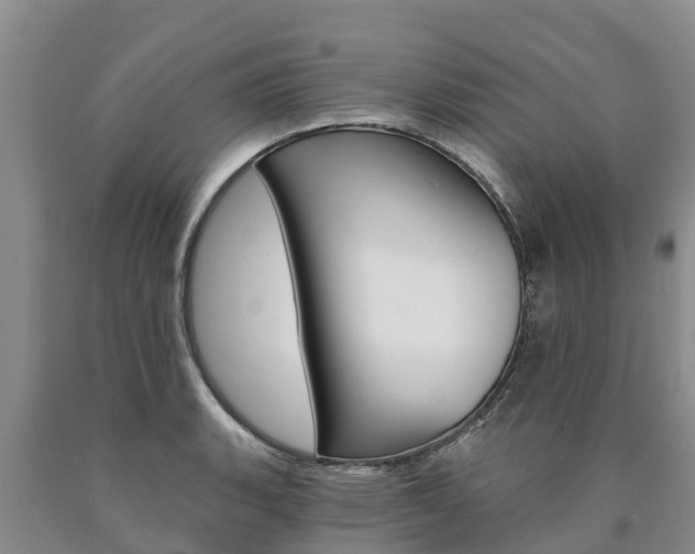 X0000090871135200707270949