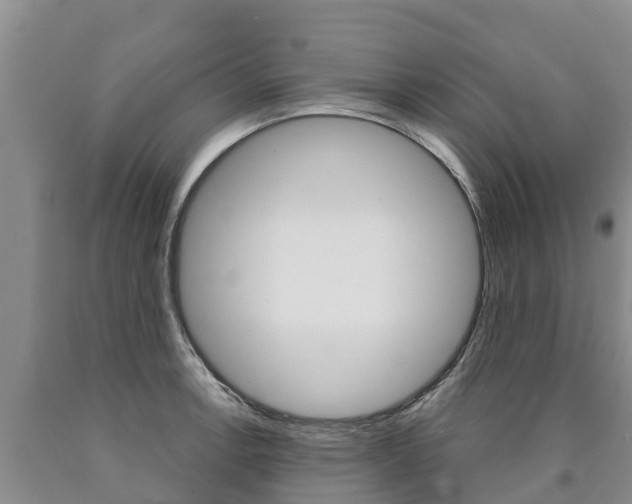 X0000090871138200707270949