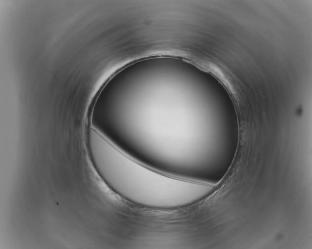 X0000090871140200707270949