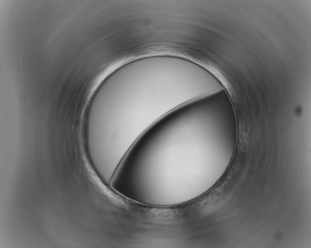 X0000090871142200707270949