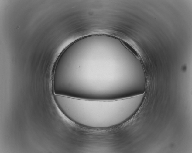 X0000090871143200707270949