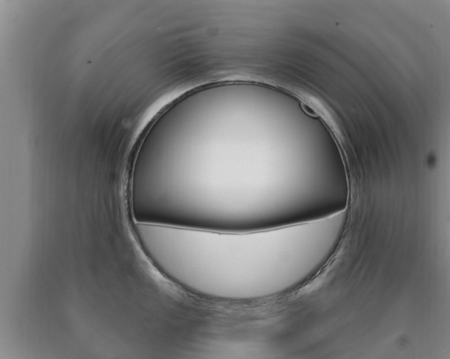 X0000090871149200707270949