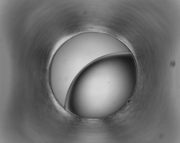 X0000090871152200707270949