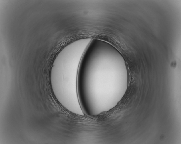 X0000090871153200707270948