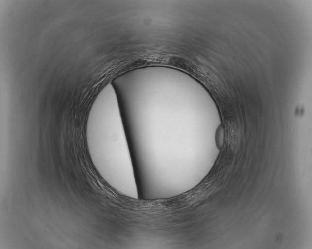X0000090871154200707270948