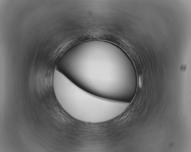X0000090871155200707270948