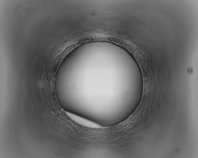 X0000090871157200707270948