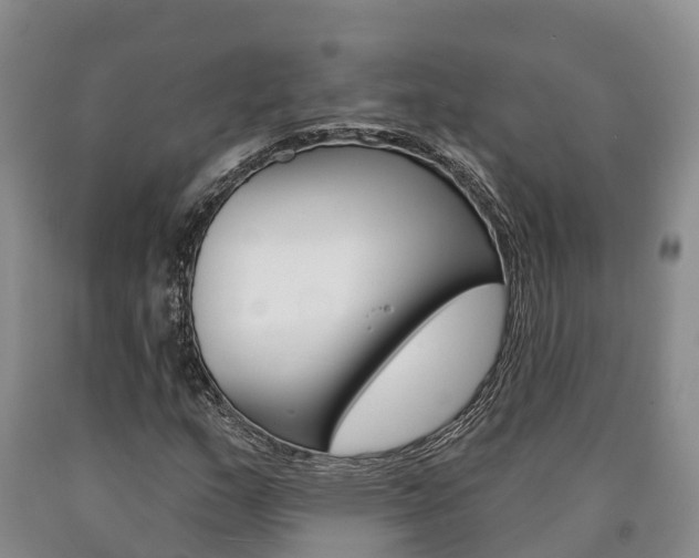 X0000090871159200707270948