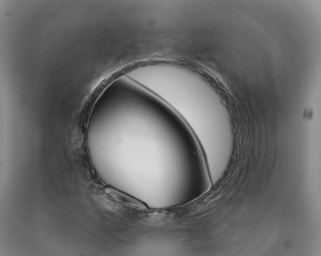 X0000090871160200707270948