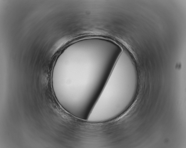 X0000090871163200707270948
