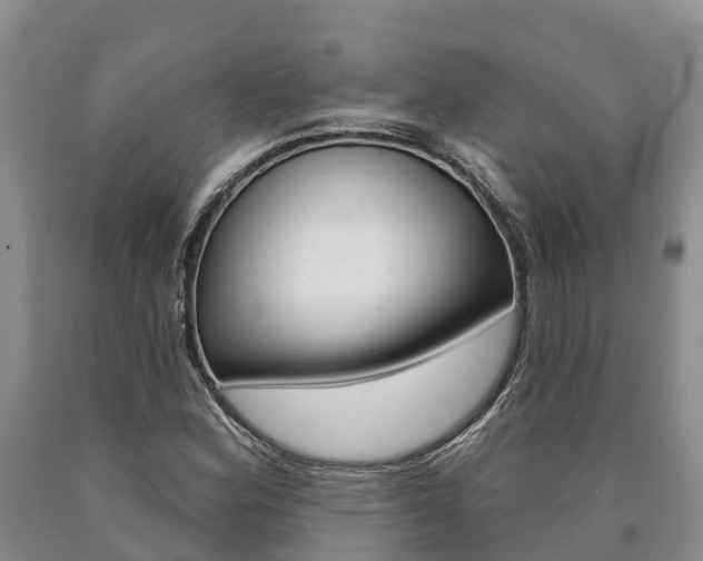 X0000090871164200707270948